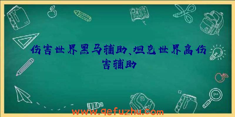 伤害世界黑马辅助、坦克世界高伤害辅助