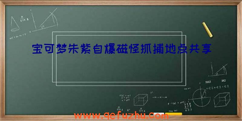 宝可梦朱紫自爆磁怪抓捕地点共享