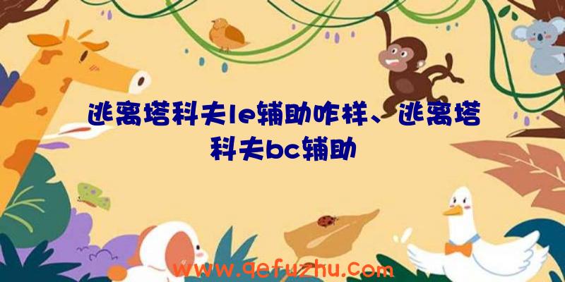 逃离塔科夫le辅助咋样、逃离塔科夫bc辅助