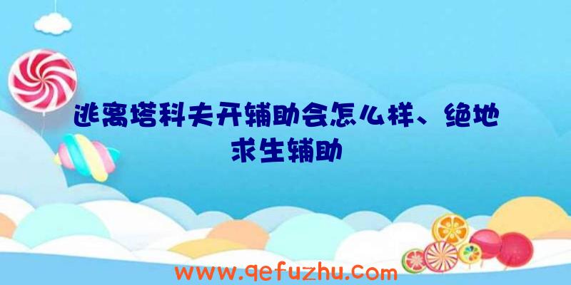 逃离塔科夫开辅助会怎么样、绝地求生辅助