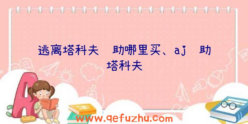 逃离塔科夫辅助哪里买、aj辅助塔科夫